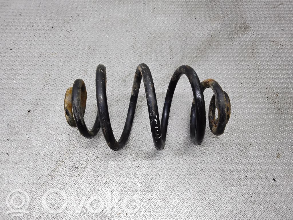 Muelle espiral trasero