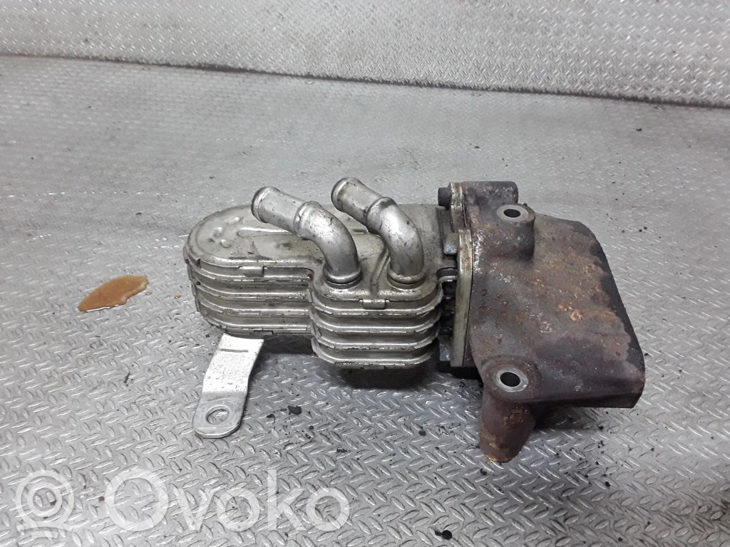 Chrysler Voyager EGR aušintuvas 