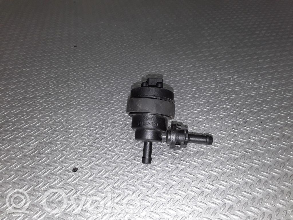 Vakuumo vožtuvas   P119A020