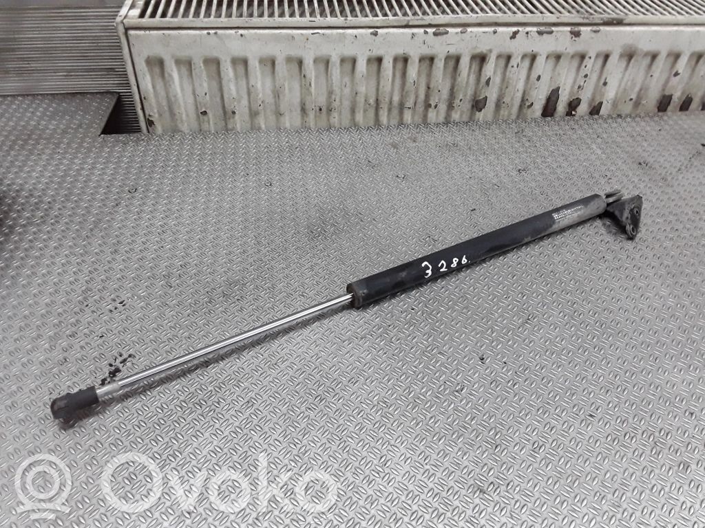 Takaluukun tuen kaasujousi