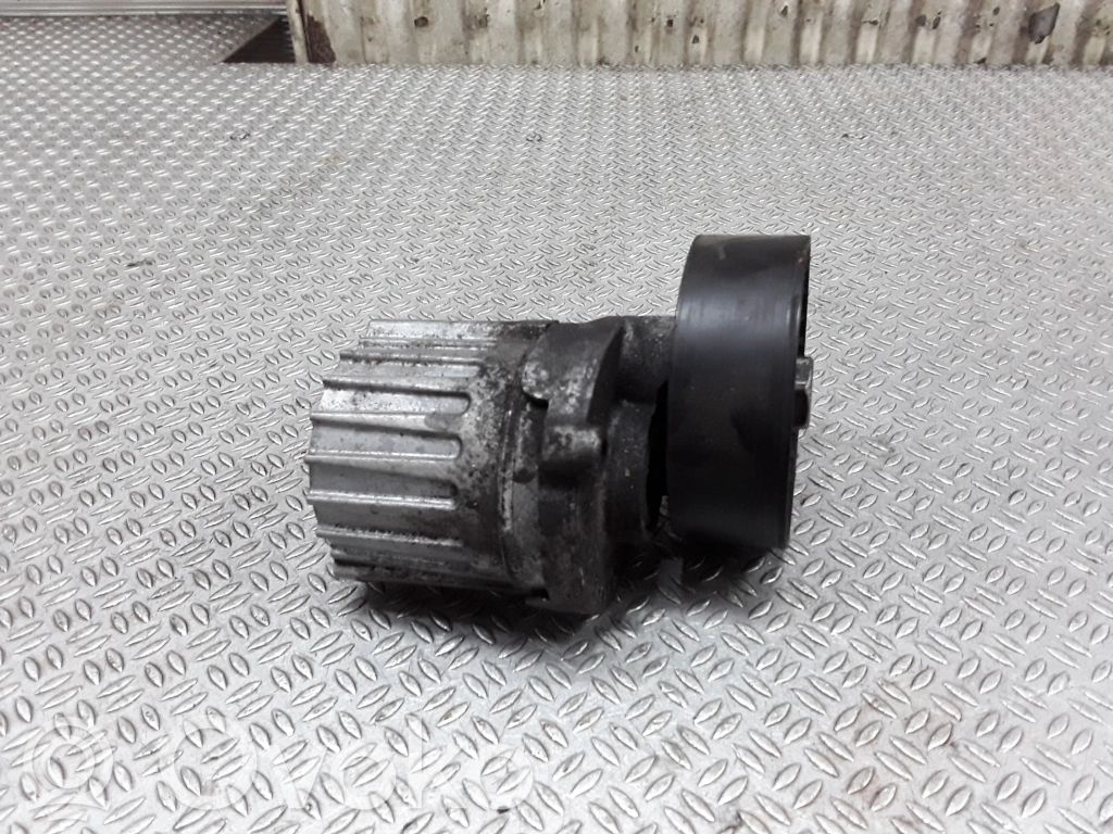 Volkswagen Golf VI Tendicinghia generatore/alternatore 
