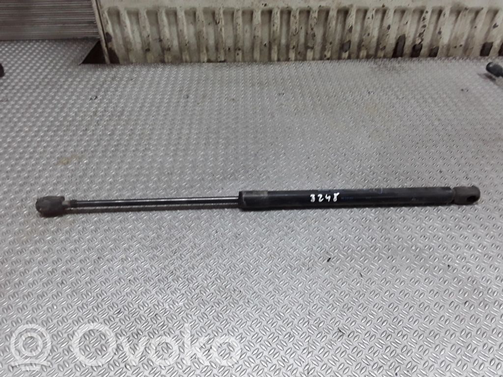 Tailgate/trunk strut/damper   09114311