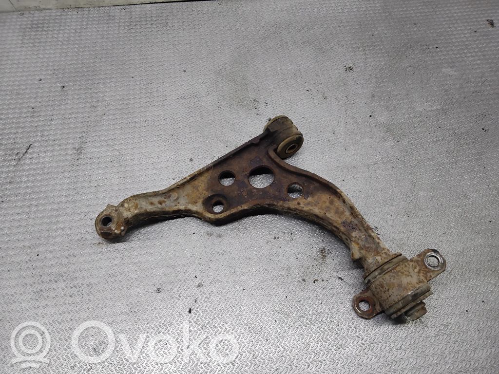 Front lower control arm/wishbone