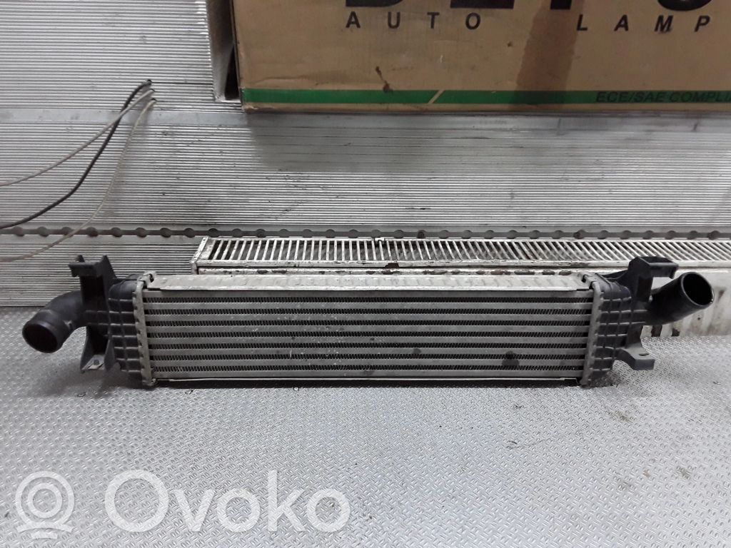 Intercooler radiator   4N5H9L440VF