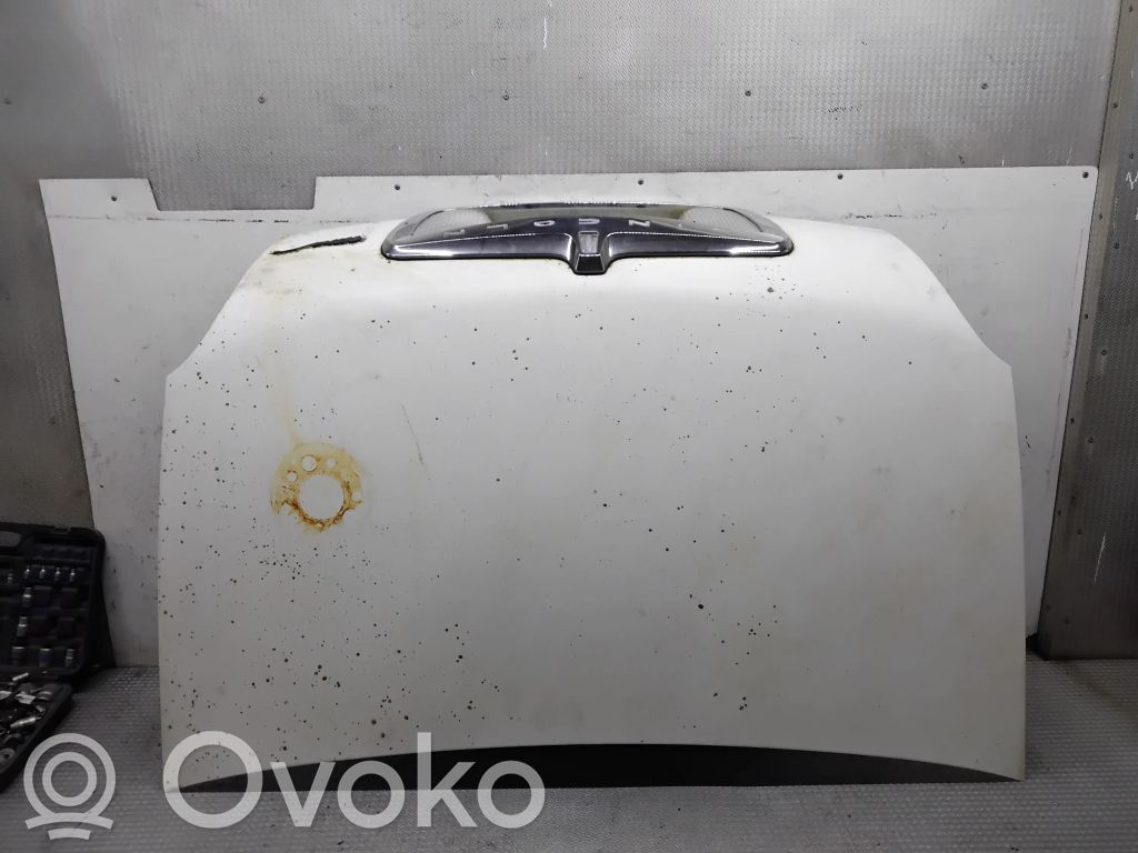 Tailgate/trunk/boot lid