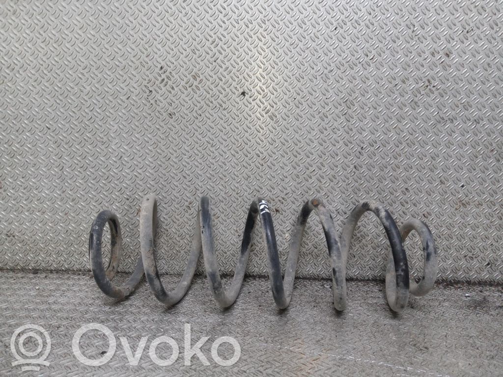 Rear coil spring
