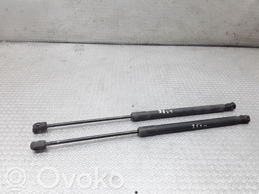 Tailgate/trunk strut/damper   4F9827552C