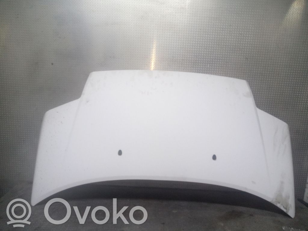 Dzinēja pārsegs (vāks)
