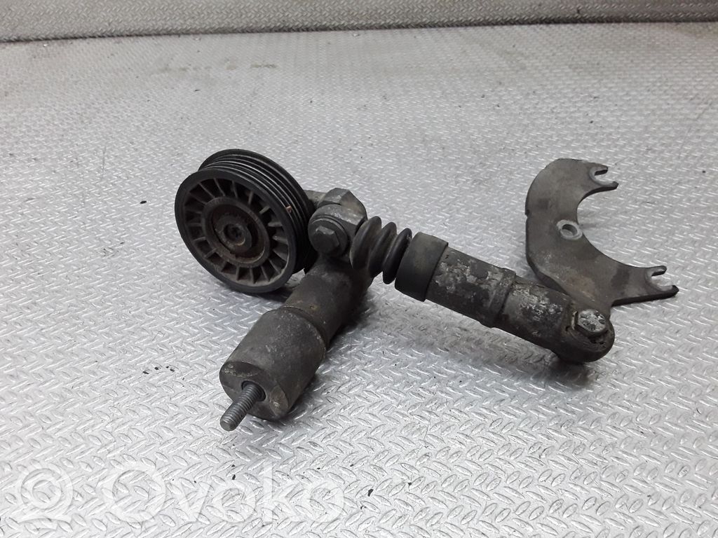 Audi A4 S4 B6 8E 8H Întinzător curea generator/alternator 