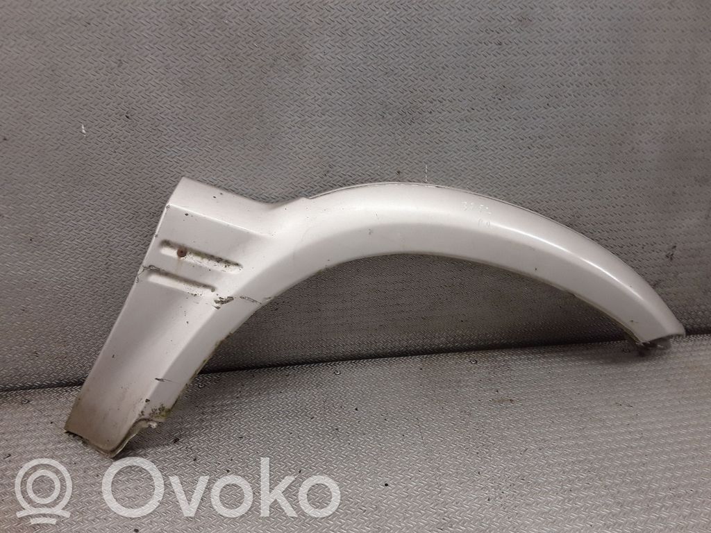 Fender trim (molding)