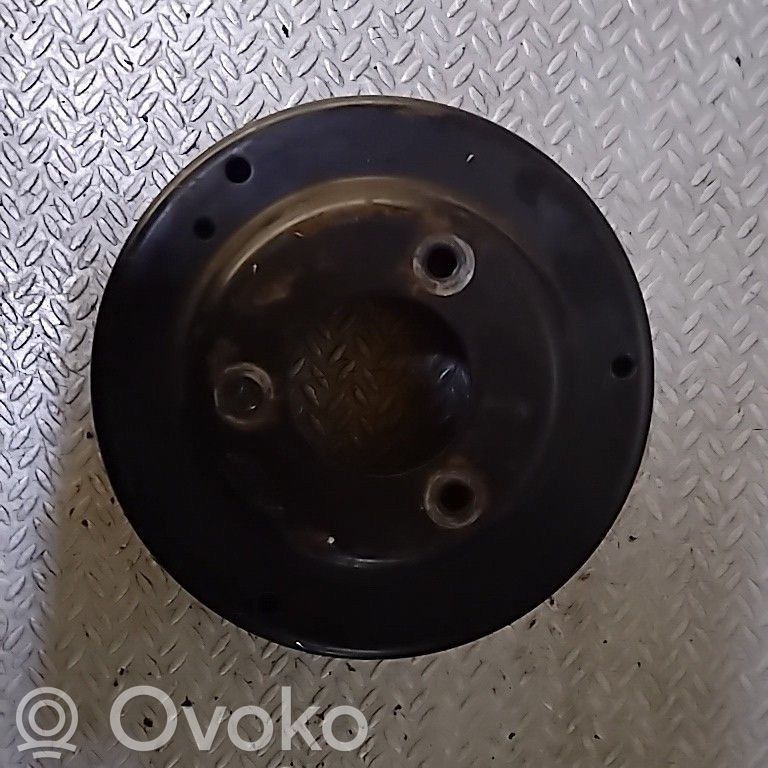 Volkswagen Crafter Fulie pompă apă 