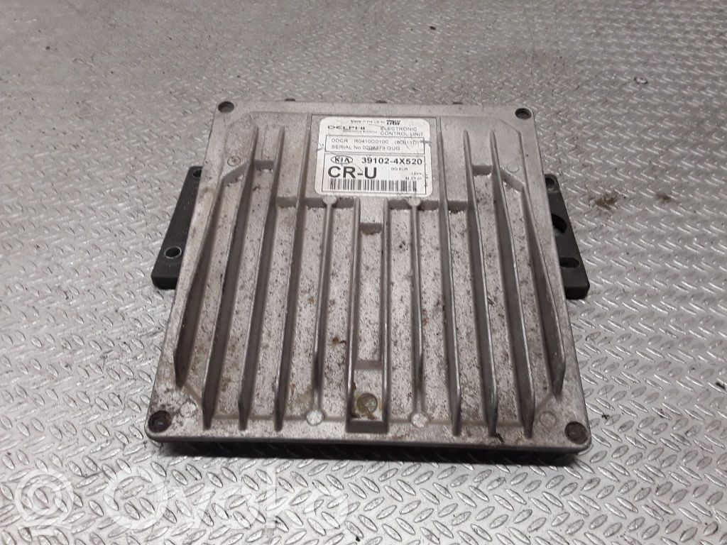 Motorsteuergerät/-modul   391024X520
