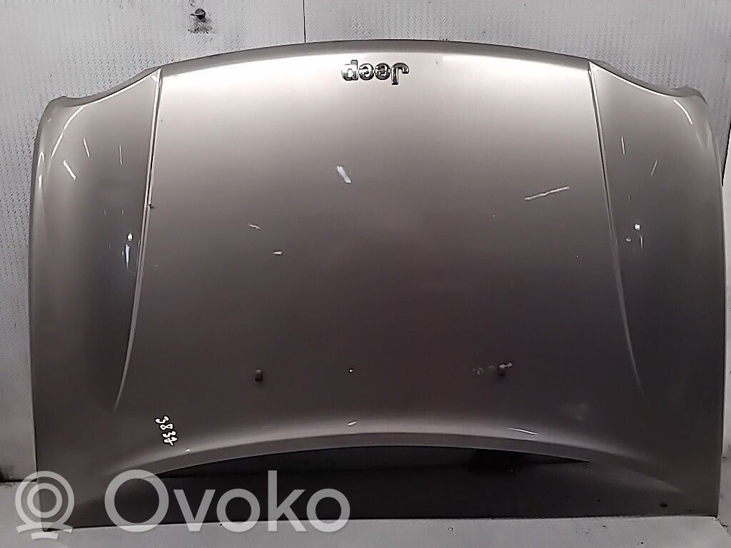 Engine bonnet/hood