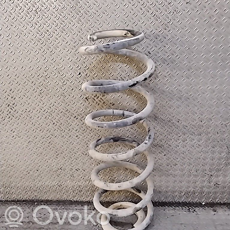 Rear coil spring