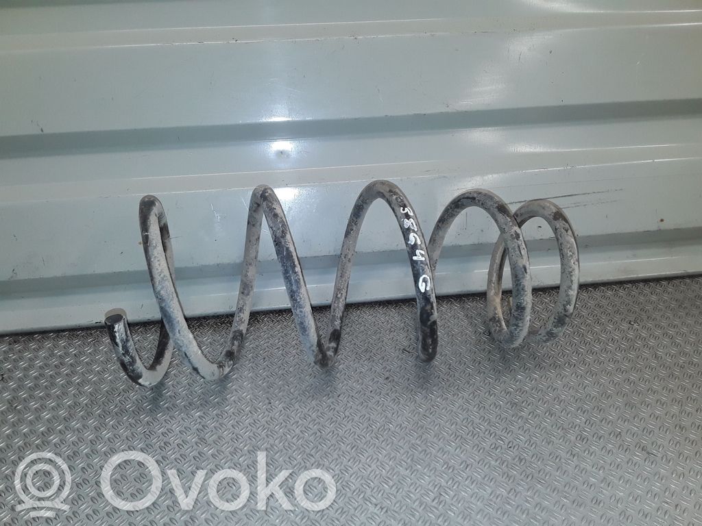 Rear coil spring
