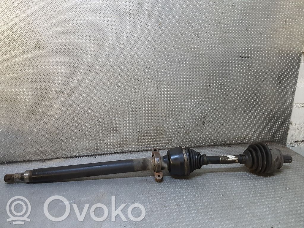 Priekšējā pusass   10226954