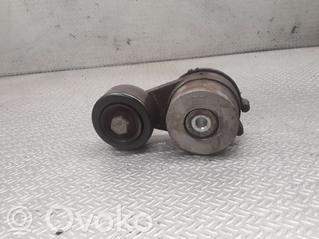 Diržo įtempėjas   252812F000