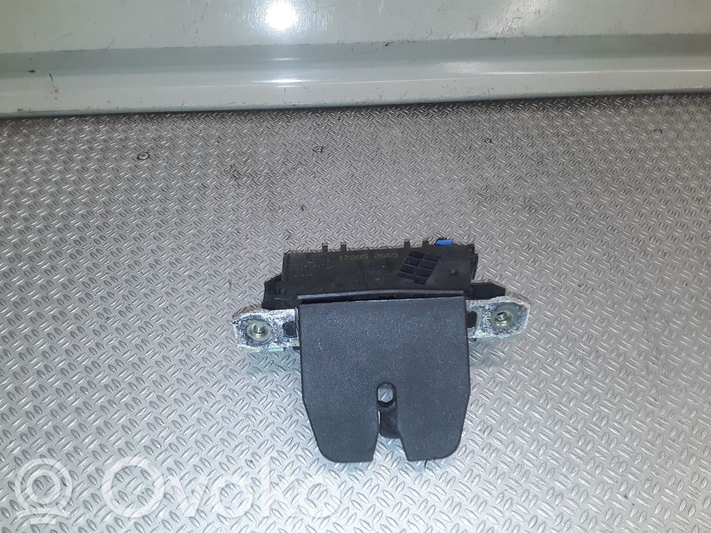 Tailgate/trunk/boot lock/catch/latch   13117285