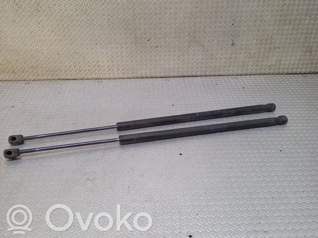 Ford Fiesta Tailgate/trunk strut/damper 