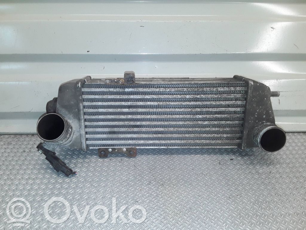 Intercooler radiator   282702A62X