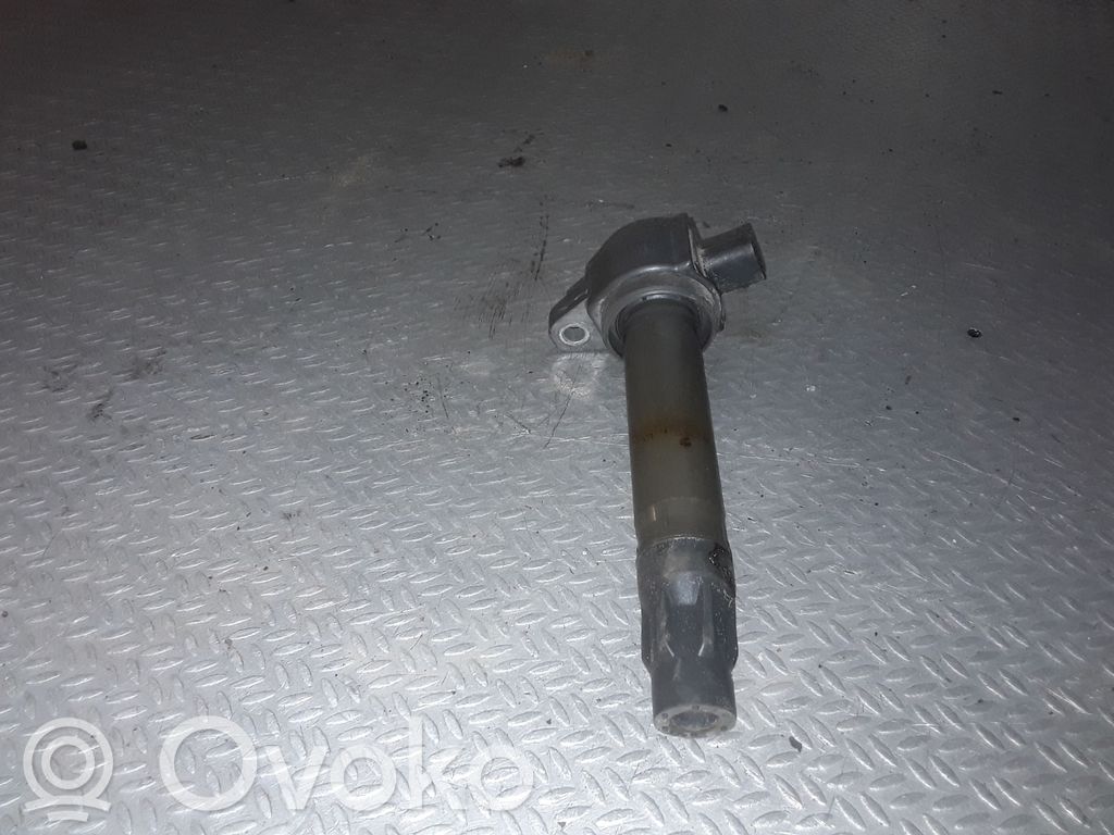 Aukštos įtampos ritė "babyna"   04606824AB