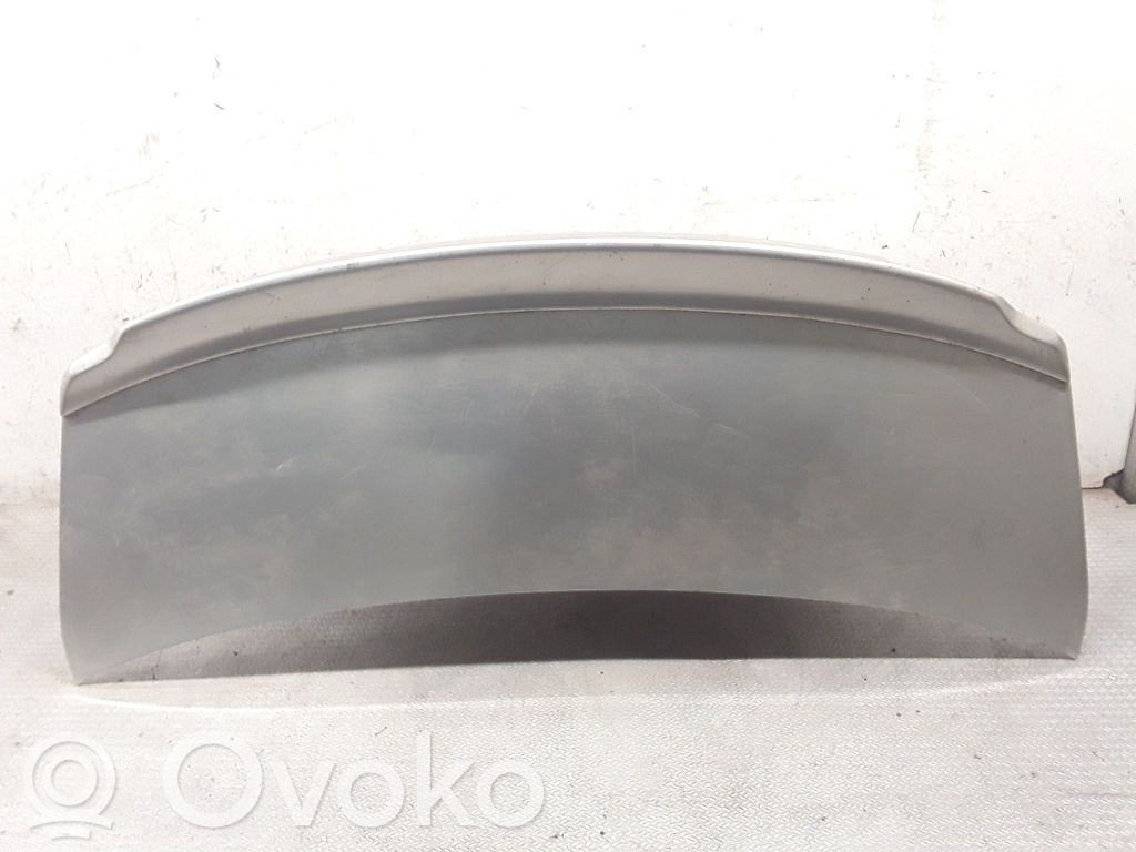 Tailgate/trunk/boot lid