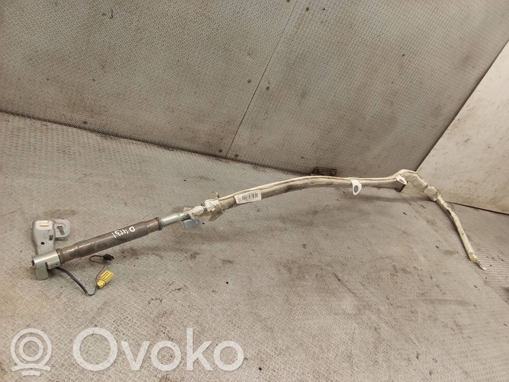 Airbag cortină