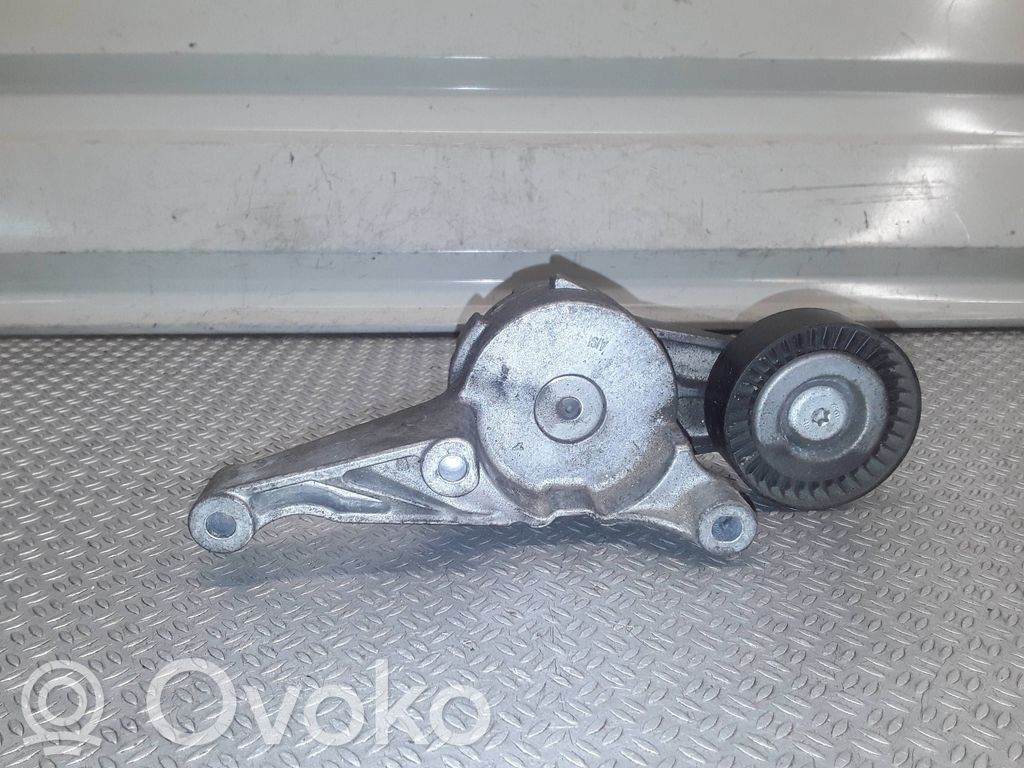 Tendicinghia generatore/alternatore   950371