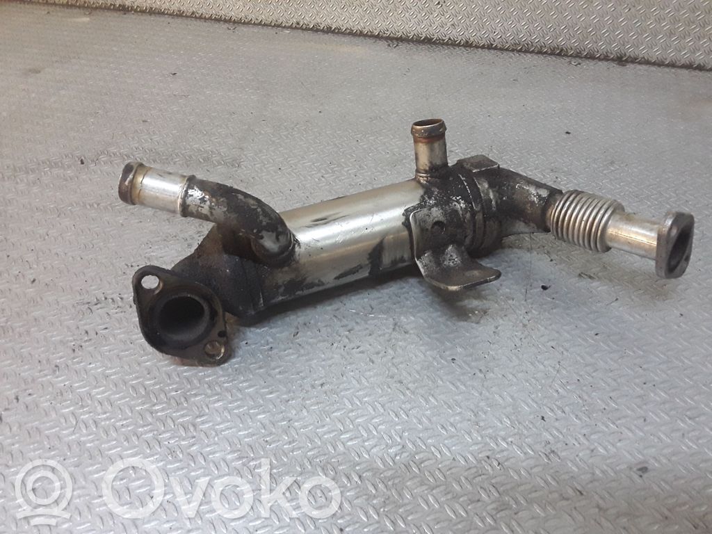 Răcitor supapă EGR   284162A410