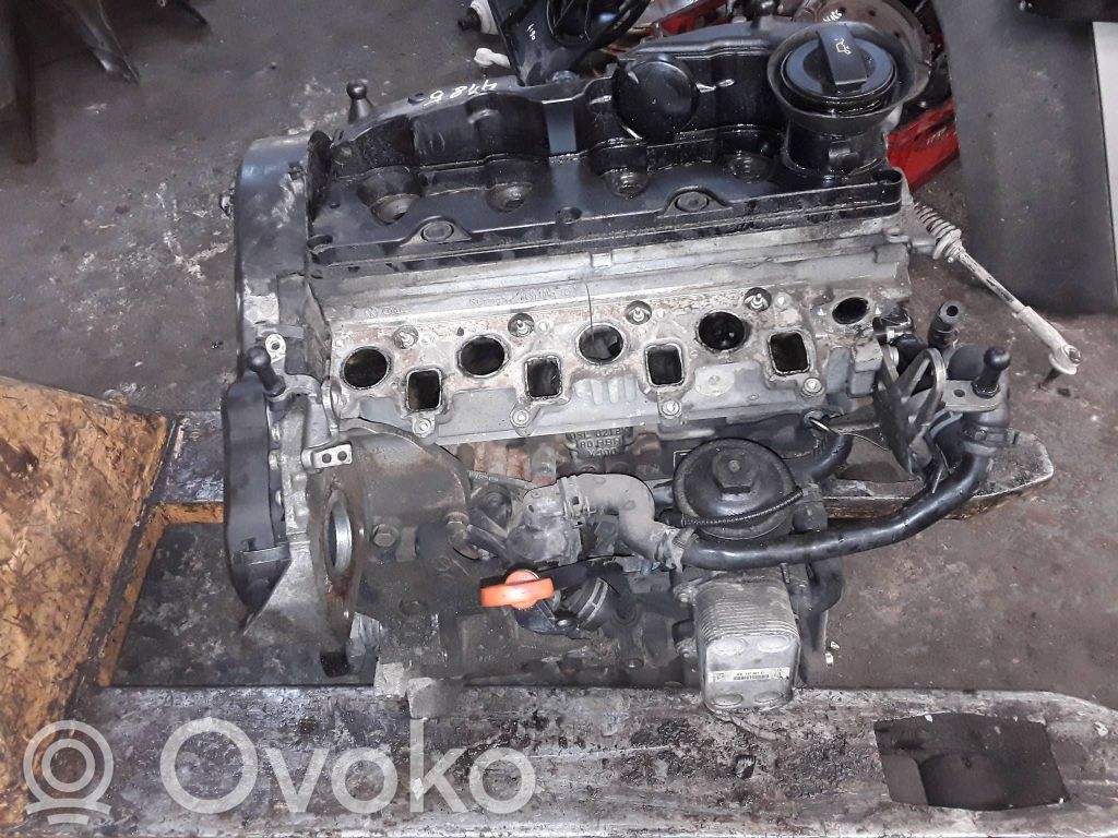 Skoda Octavia Mk2 (1Z) Motor