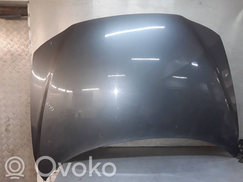 Motorhaube