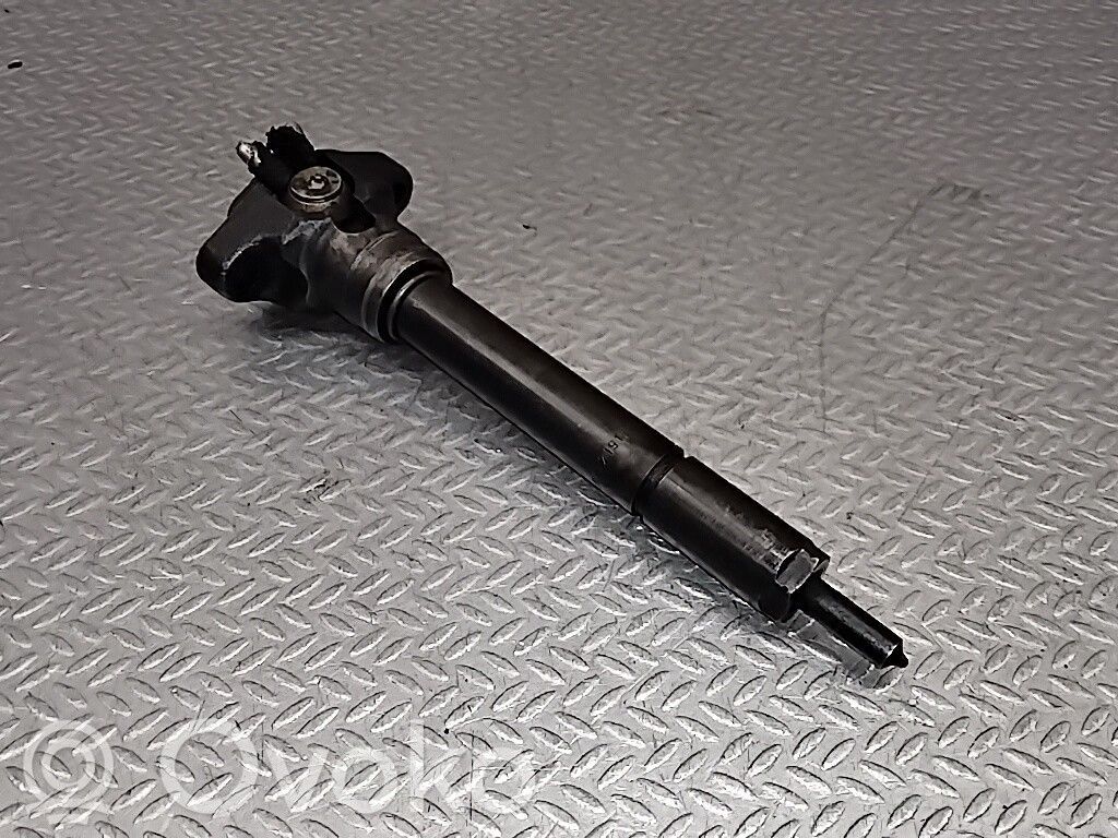 BMW 3 E46 Fuel injector 