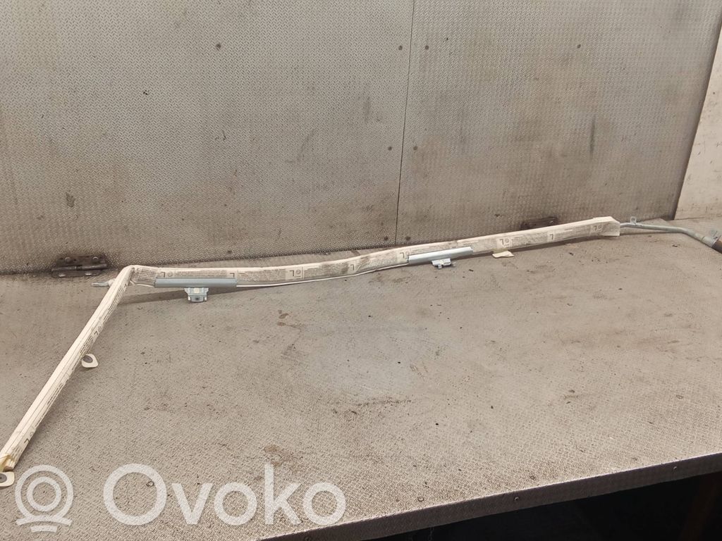 Skoda Octavia Mk2 (1Z) Airbag da tetto