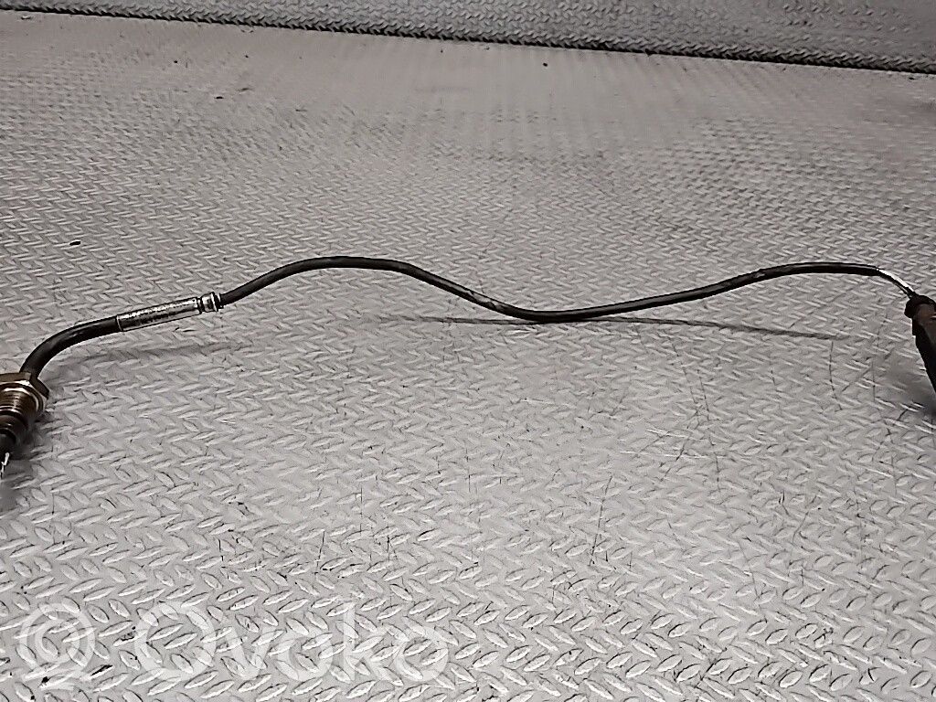 Audi A8 S8 D3 4E Abgastemperatursensor 