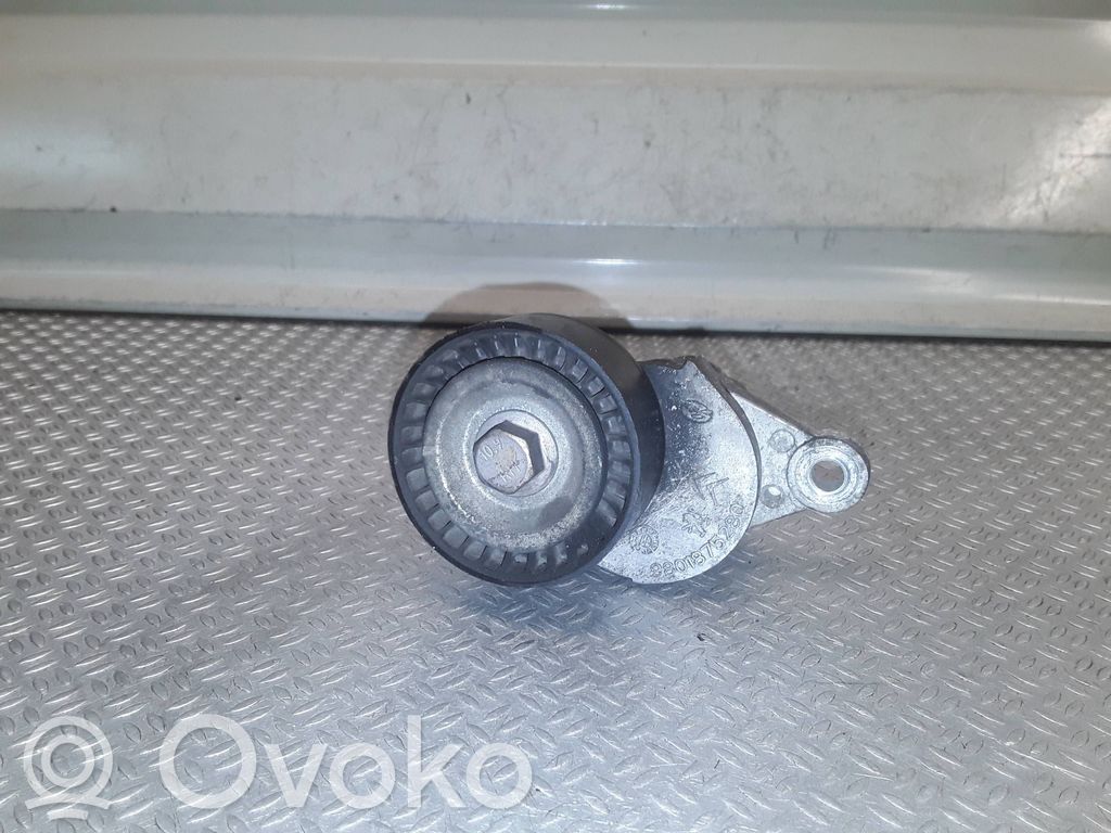 Citroen C5 Întinzător curea generator/alternator 