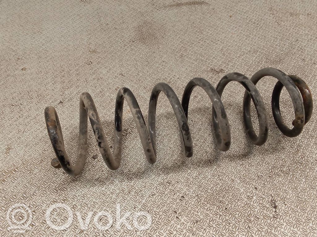 Rear coil spring