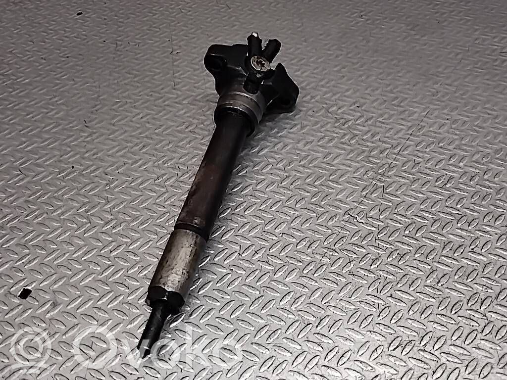 BMW 3 E46 Fuel injector 