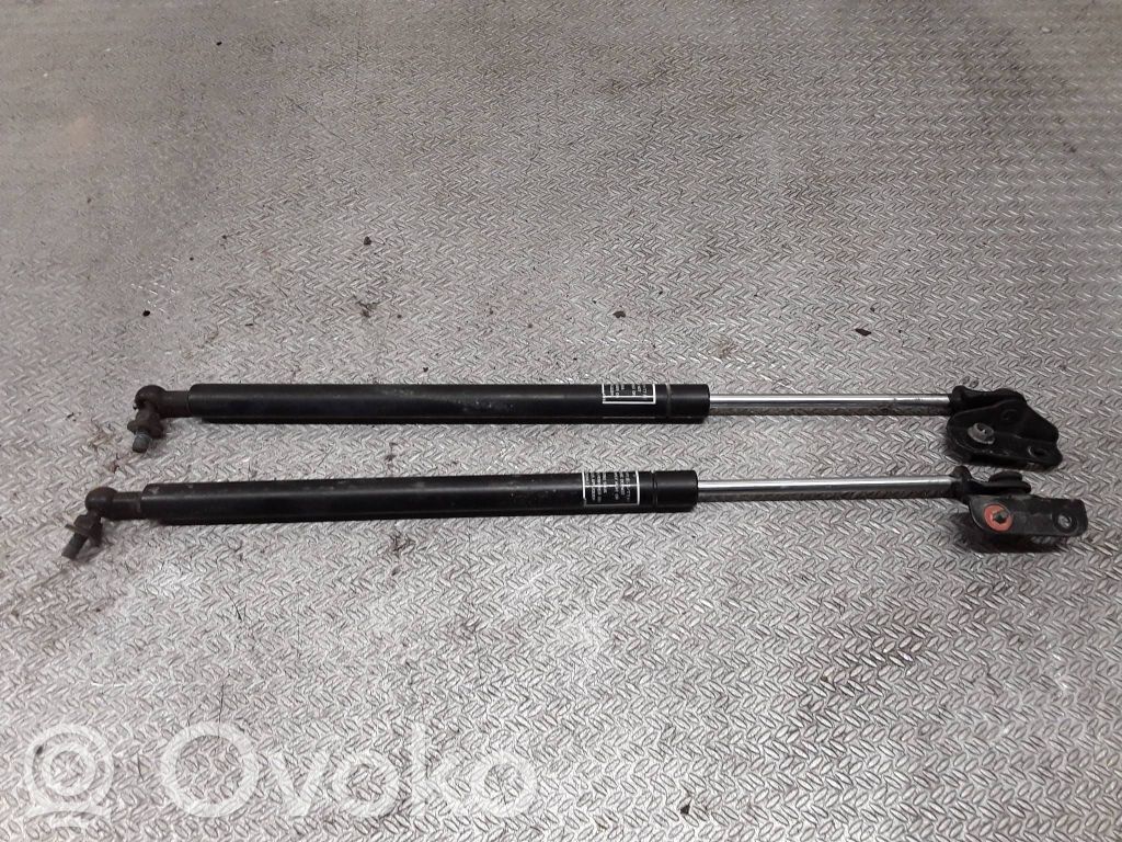 Gasdruckfeder Dämpfer Motorhaube