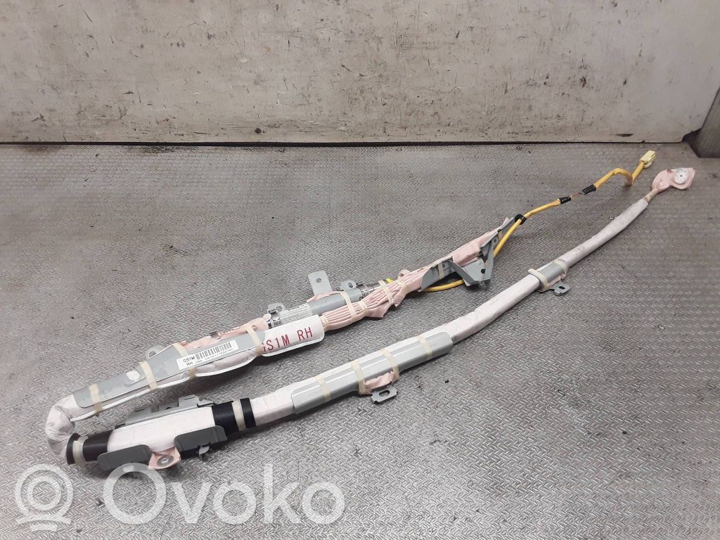 Airbag de toit   A1011103274