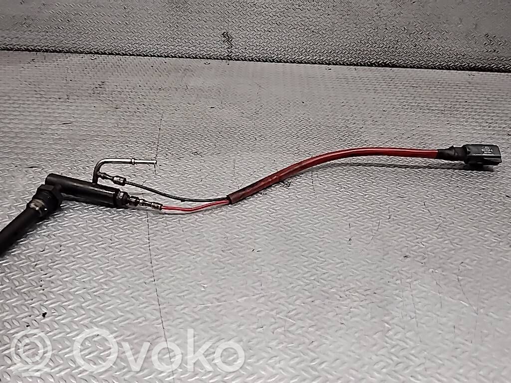Ford Transit FAP purkštukas 