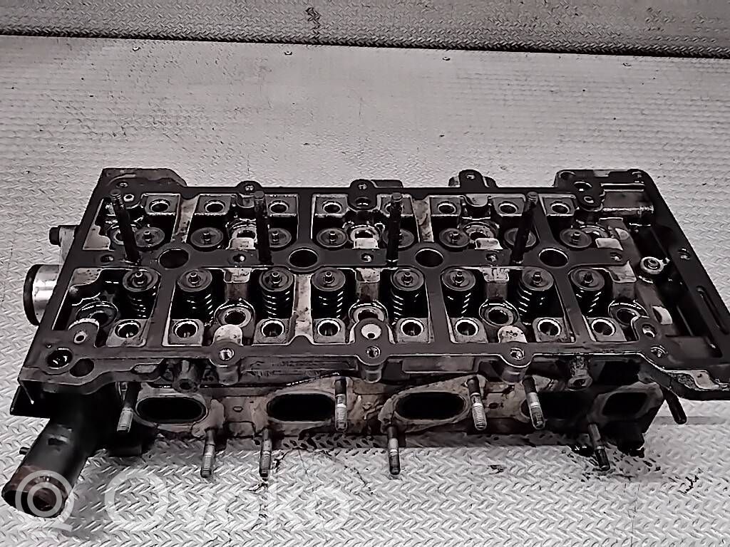 Engine head   55571949