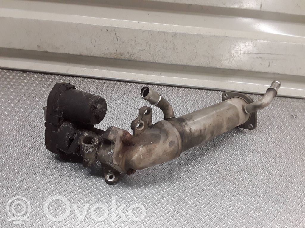 EGR aušintuvas   6C1Q9F464AD
