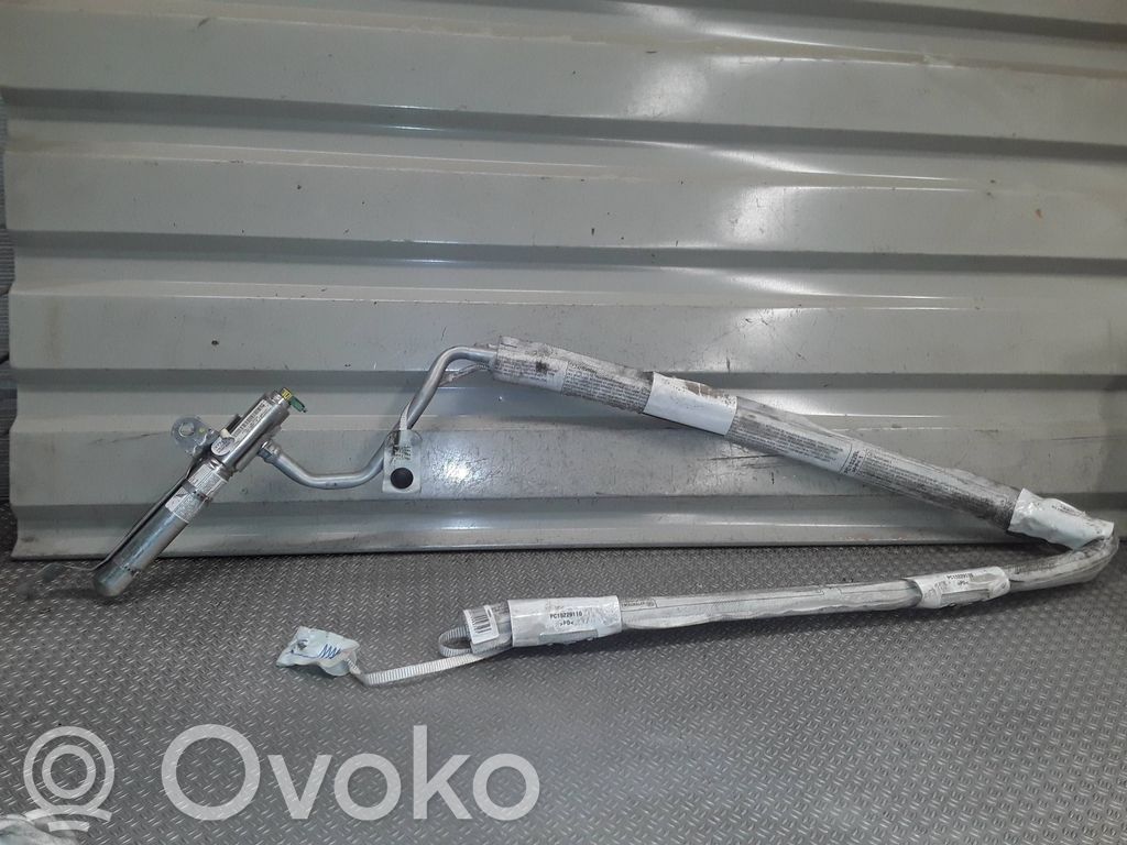 Renault Clio III Kopfairbag 