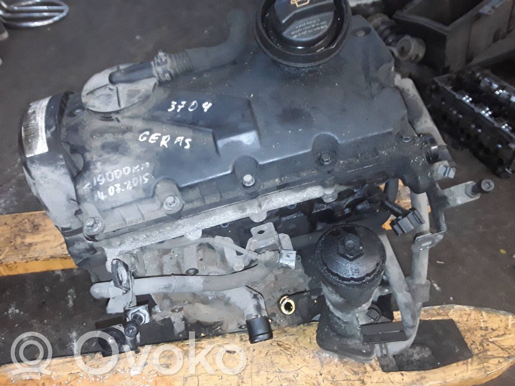 Skoda Octavia Mk2 (1Z) Motor 