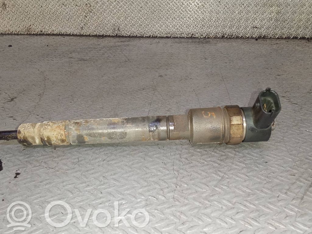Injektor Einspritzdüse   0445110298,30777526