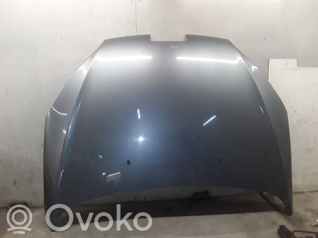 Motorhaube
