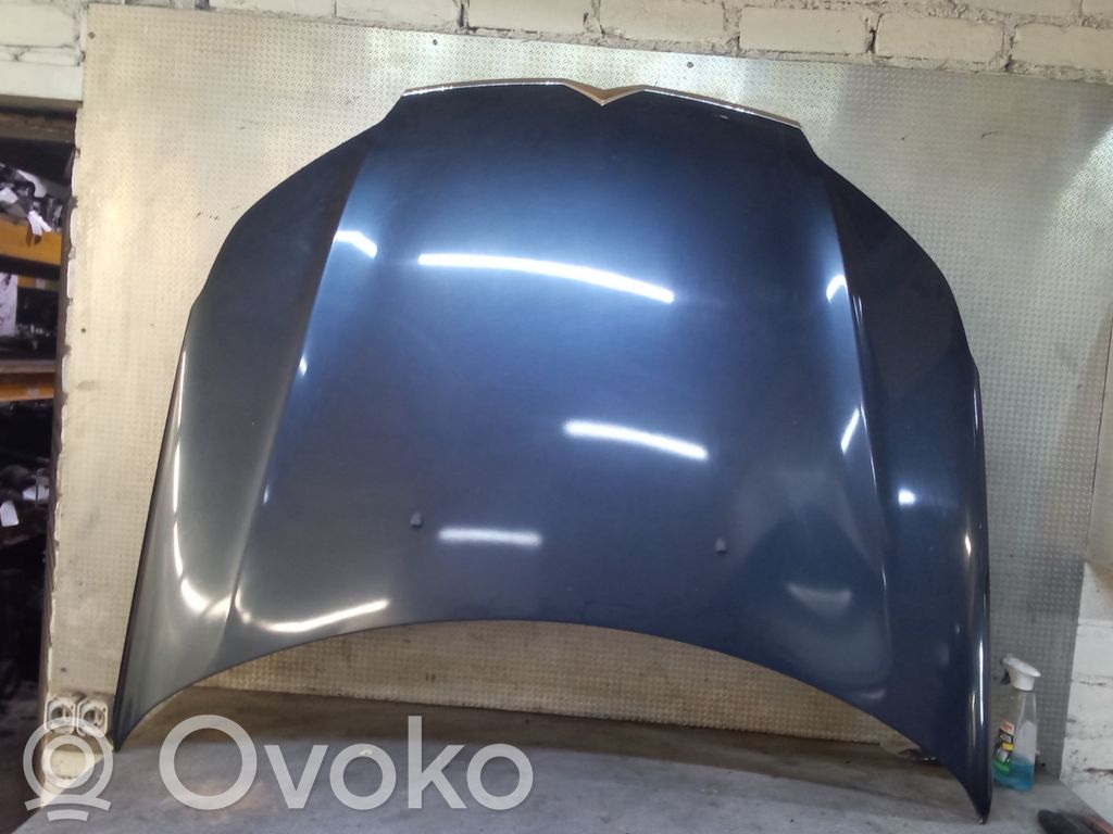 Motorhaube
