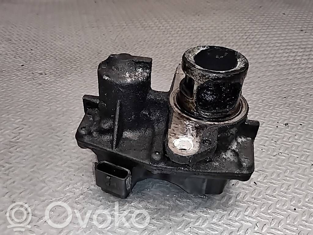 EGR-venttiili   147109816R,H8201061904