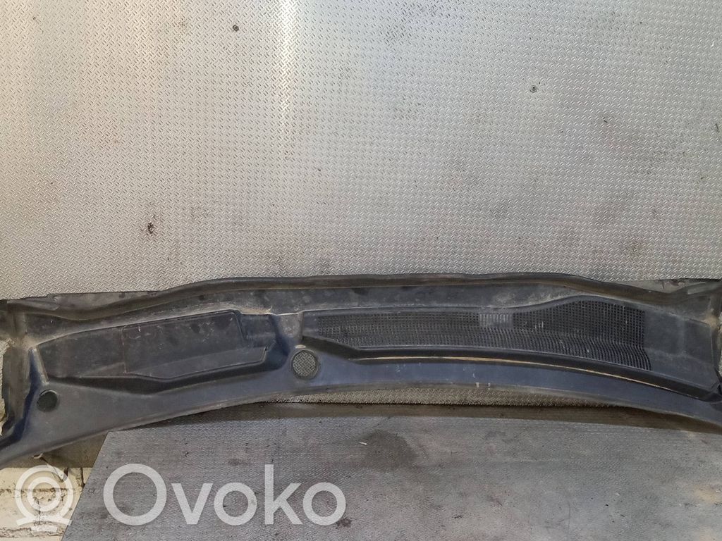 Volkswagen Routan Apărătoare ștergătoare 