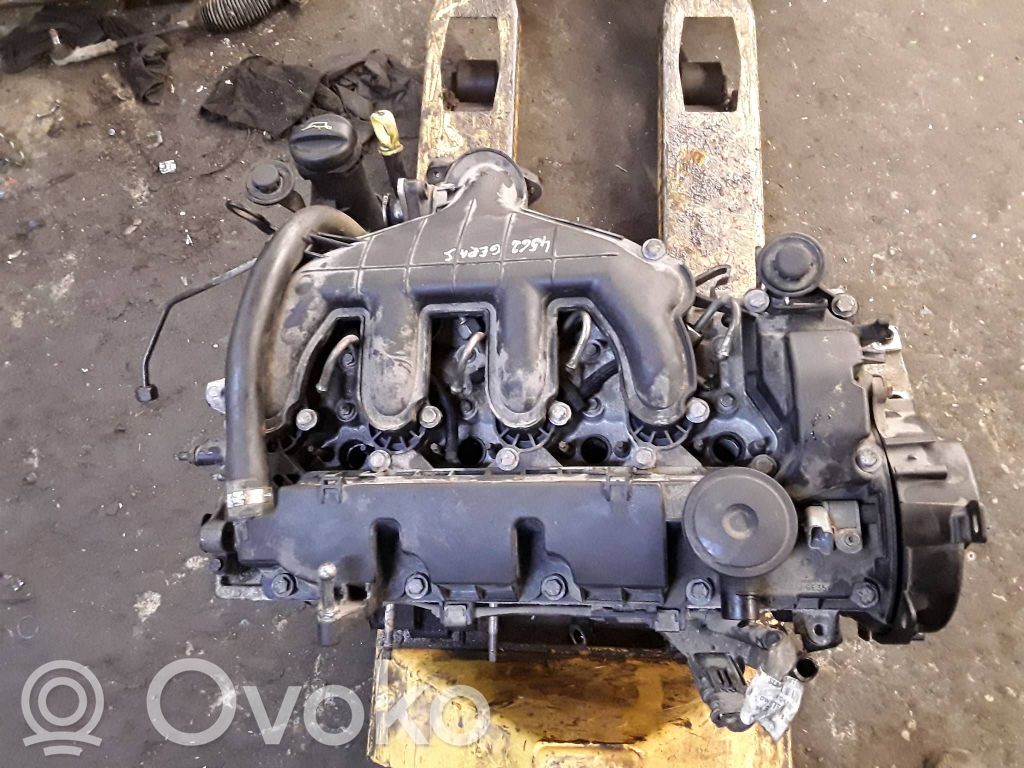 Motor   10DYUL,040933270,RHK